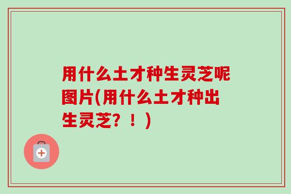 用什么土才种生灵芝呢图片(用什么土才种出生灵芝？！)-第1张图片-卓越灵芝孢子粉
