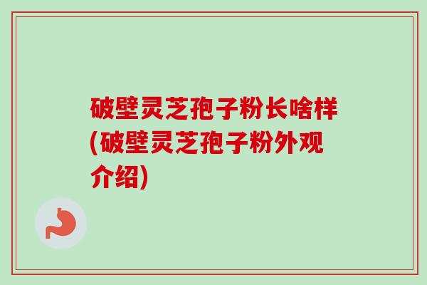 破壁灵芝孢子粉长啥样(破壁灵芝孢子粉外观介绍)-第1张图片-卓越灵芝孢子粉