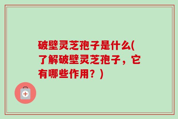 破壁灵芝孢子是什么(了解破壁灵芝孢子,它有哪些作用?)-第1张图片-卓越灵芝孢子粉 破壁灵芝孢子是什么(了解破壁灵芝孢子,它有哪些作用?)-第1张图片-卓越灵芝孢子粉