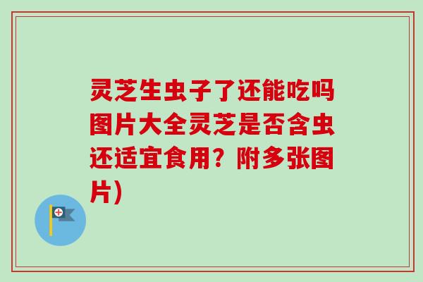 灵芝生虫子了还能吃吗图片大全灵芝是否含虫还适宜食用？附多张图片)-第1张图片-卓越灵芝孢子粉