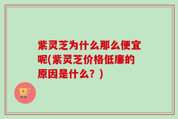 紫灵芝为什么那么便宜呢(紫灵芝价格低廉的原因是什么?)-第1张图片-卓越灵芝孢子粉 紫灵芝为什么那么便宜呢(紫灵芝价格低廉的原因是什么?)-第1张图片-卓越灵芝孢子粉
