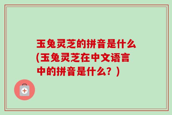玉兔灵芝的拼音是什么(玉兔灵芝在中文语言中的拼音是什么?)-第1张图片-卓越灵芝孢子粉 玉兔灵芝的拼音是什么(玉兔灵芝在中文语言中的拼音是什么?)-第1张图片-卓越灵芝孢子粉