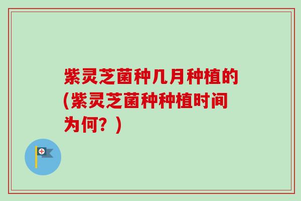 紫灵芝菌种几月种植的(紫灵芝菌种种植时间为何?)-第1张图片-卓越灵芝孢子粉 紫灵芝菌种几月种植的(紫灵芝菌种种植时间为何?)-第1张图片-卓越灵芝孢子粉