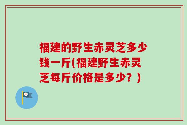 福建的野生赤灵芝多少钱一斤(福建野生赤灵芝每斤价格是多少？)-第1张图片-卓越灵芝孢子粉