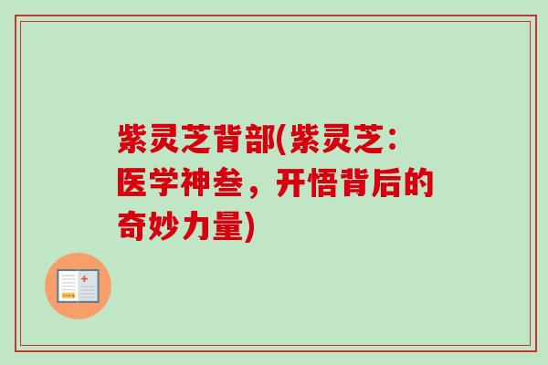 紫灵芝背部(紫灵芝:医学神叁,开悟背后的奇妙力量)-第1张图片-卓越灵芝孢子粉 紫灵芝背部(紫灵芝:医学神叁,开悟背后的奇妙力量)-第1张图片-卓越灵芝孢子粉