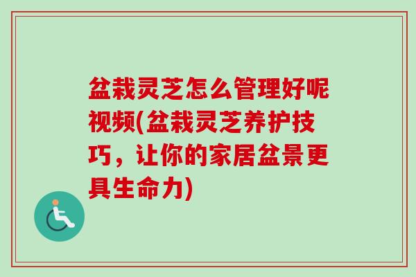 盆栽灵芝怎么管理好呢视频(盆栽灵芝养护技巧,让你的家居盆景更具生命力)-第1张图片-卓越灵芝孢子粉 盆栽灵芝怎么管理好呢视频(盆栽灵芝养护技巧,让你的家居盆景更具生命力)-第1张图片-卓越灵芝孢子粉