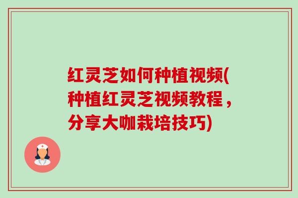 红灵芝如何种植视频(种植红灵芝视频教程,分享大咖栽培技巧)-第1张图片-卓越灵芝孢子粉 红灵芝如何种植视频(种植红灵芝视频教程,分享大咖栽培技巧)-第1张图片-卓越灵芝孢子粉