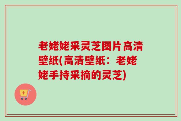 老姥姥采灵芝图片高清壁纸(高清壁纸:老姥姥手持采摘的灵芝)-第1张图片-卓越灵芝孢子粉 老姥姥采灵芝图片高清壁纸(高清壁纸:老姥姥手持采摘的灵芝)-第1张图片-卓越灵芝孢子粉