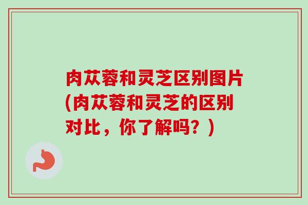 肉苁蓉和灵芝区别图片(肉苁蓉和灵芝的区别对比,你了解吗?)-第1张图片-卓越灵芝孢子粉 肉苁蓉和灵芝区别图片(肉苁蓉和灵芝的区别对比,你了解吗?)-第1张图片-卓越灵芝孢子粉