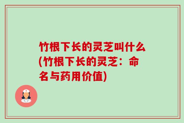 竹根下长的灵芝叫什么(竹根下长的灵芝:命名与药用价值)-第1张图片-卓越灵芝孢子粉 竹根下长的灵芝叫什么(竹根下长的灵芝:命名与药用价值)-第1张图片-卓越灵芝孢子粉
