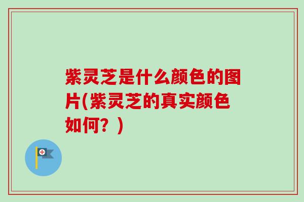 紫灵芝是什么颜色的图片(紫灵芝的真实颜色如何?)-第1张图片-卓越灵芝孢子粉 紫灵芝是什么颜色的图片(紫灵芝的真实颜色如何?)-第1张图片-卓越灵芝孢子粉