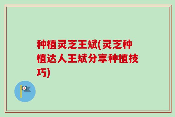 种植灵芝王斌(灵芝种植达人王斌分享种植技巧)-第1张图片-卓越灵芝孢子粉 种植灵芝王斌(灵芝种植达人王斌分享种植技巧)-第1张图片-卓越灵芝孢子粉
