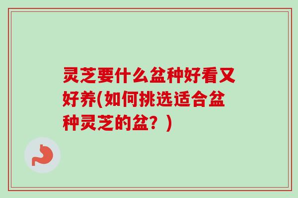 灵芝要什么盆种好看又好养(如何挑选适合盆种灵芝的盆?)-第1张图片-卓越灵芝孢子粉 灵芝要什么盆种好看又好养(如何挑选适合盆种灵芝的盆?)-第1张图片-卓越灵芝孢子粉