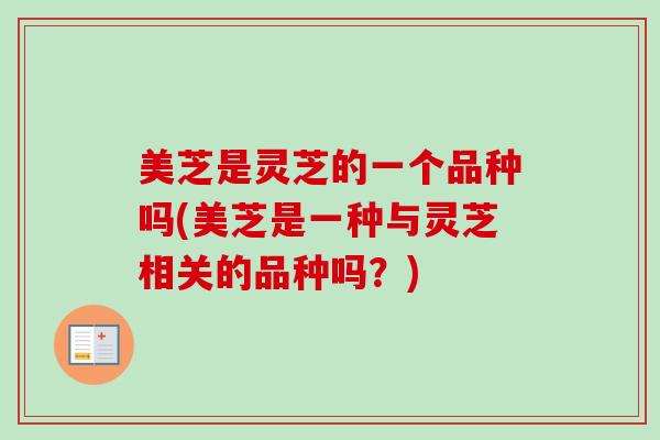 美芝是灵芝的一个品种吗(美芝是一种与灵芝相关的品种吗？)-第1张图片-卓越灵芝孢子粉