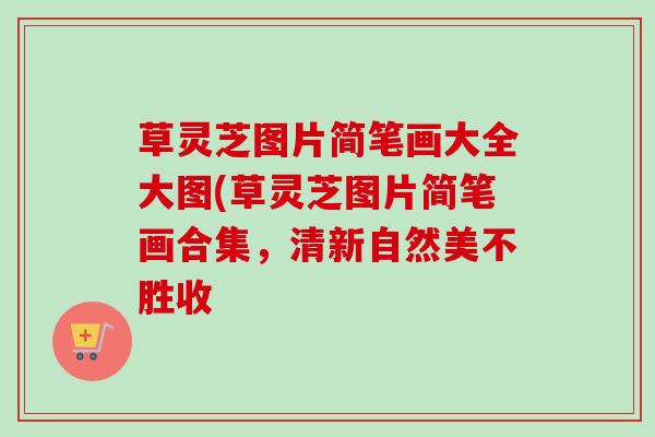草灵芝图片简笔画大全大图(草灵芝图片简笔画合集，清新自然美不胜收-第1张图片-卓越灵芝孢子粉