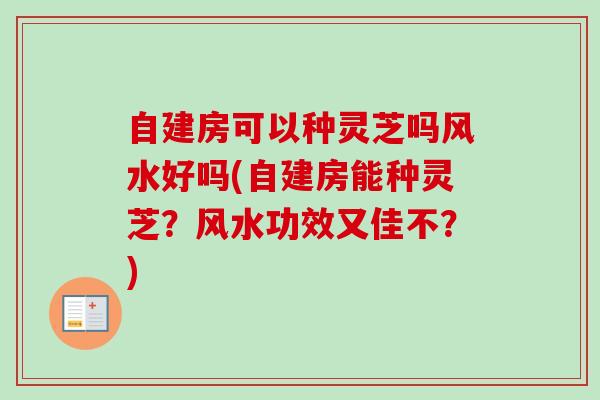 自建房可以种灵芝吗风水好吗(自建房能种灵芝?风水功效又佳不?)-第1张图片-卓越灵芝孢子粉 自建房可以种灵芝吗风水好吗(自建房能种灵芝?风水功效又佳不?)-第1张图片-卓越灵芝孢子粉
