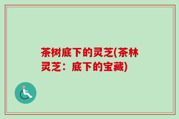 茶树底下的灵芝(茶林灵芝：底下的宝藏)-第1张图片-卓越灵芝孢子粉