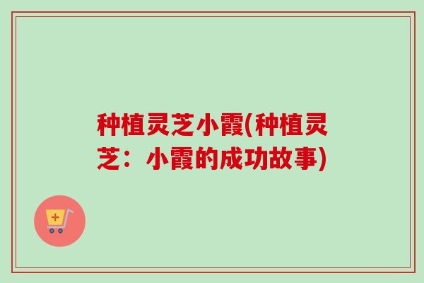种植灵芝小霞(种植灵芝:小霞的成功故事)-第1张图片-卓越灵芝孢子粉 种植灵芝小霞(种植灵芝:小霞的成功故事)-第1张图片-卓越灵芝孢子粉