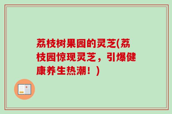 荔枝树果园的灵芝(荔枝园惊现灵芝,引爆健康养生热潮!)-第1张图片-卓越灵芝孢子粉 荔枝树果园的灵芝(荔枝园惊现灵芝,引爆健康养生热潮!)-第1张图片-卓越灵芝孢子粉