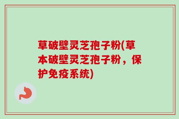 草破壁灵芝孢子粉(草本破壁灵芝孢子粉,保护免疫系统)-第1张图片-卓越灵芝孢子粉 草破壁灵芝孢子粉(草本破壁灵芝孢子粉,保护免疫系统)-第1张图片-卓越灵芝孢子粉