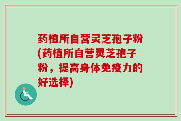 药植所自营灵芝孢子粉(药植所自营灵芝孢子粉，提高身体免疫力的好选择)-第1张图片-卓越灵芝孢子粉