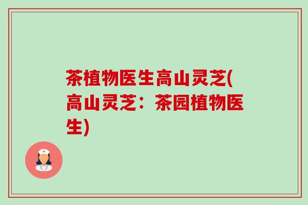 茶植物医生高山灵芝(高山灵芝:茶园植物医生)-第1张图片-卓越灵芝孢子粉 茶植物医生高山灵芝(高山灵芝:茶园植物医生)-第1张图片-卓越灵芝孢子粉