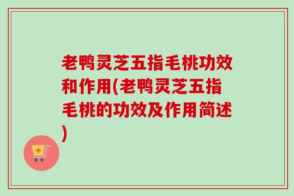老鸭灵芝五指毛桃功效和作用(老鸭灵芝五指毛桃的功效及作用简述)-第1张图片-卓越灵芝孢子粉 老鸭灵芝五指毛桃功效和作用(老鸭灵芝五指毛桃的功效及作用简述)-第1张图片-卓越灵芝孢子粉