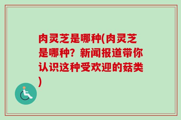 肉灵芝是哪种(肉灵芝是哪种?新闻报道带你认识这种受欢迎的菇类)-第1张图片-卓越灵芝孢子粉 肉灵芝是哪种(肉灵芝是哪种?新闻报道带你认识这种受欢迎的菇类)-第1张图片-卓越灵芝孢子粉