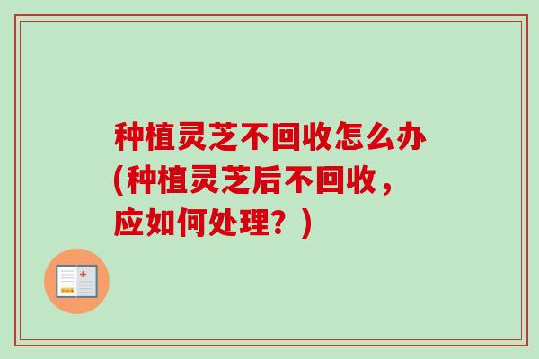 种植灵芝不回收怎么办(种植灵芝后不回收,应如何处理?)-第1张图片-卓越灵芝孢子粉 种植灵芝不回收怎么办(种植灵芝后不回收,应如何处理?)-第1张图片-卓越灵芝孢子粉