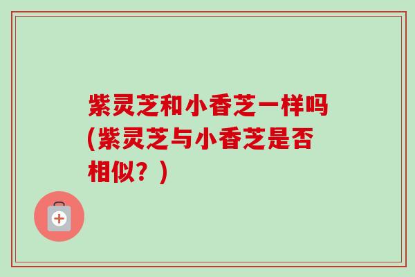 紫灵芝和小香芝一样吗(紫灵芝与小香芝是否相似?)-第1张图片-卓越灵芝孢子粉 紫灵芝和小香芝一样吗(紫灵芝与小香芝是否相似?)-第1张图片-卓越灵芝孢子粉
