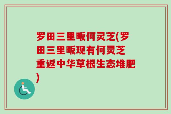 罗田三里畈何灵芝(罗田三里畈现有何灵芝 重返中华草根生态堆肥)-第1张图片-卓越灵芝孢子粉 罗田三里畈何灵芝(罗田三里畈现有何灵芝 重返中华草根生态堆肥)-第1张图片-卓越灵芝孢子粉