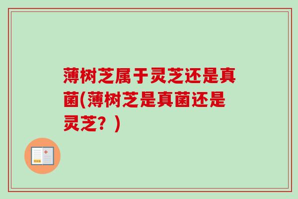 薄树芝属于灵芝还是真菌(薄树芝是真菌还是灵芝?)-第1张图片-卓越灵芝孢子粉 薄树芝属于灵芝还是真菌(薄树芝是真菌还是灵芝?)-第1张图片-卓越灵芝孢子粉