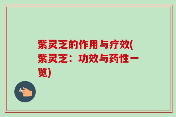 紫灵芝的作用与疗效(紫灵芝:功效与药性一览)-第1张图片-卓越灵芝孢子粉 紫灵芝的作用与疗效(紫灵芝:功效与药性一览)-第1张图片-卓越灵芝孢子粉