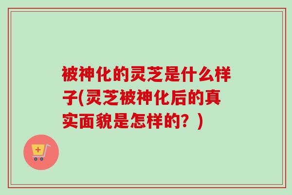 被神化的灵芝是什么样子(灵芝被神化后的真实面貌是怎样的?)-第1张图片-卓越灵芝孢子粉 被神化的灵芝是什么样子(灵芝被神化后的真实面貌是怎样的?)-第1张图片-卓越灵芝孢子粉