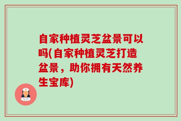自家种植灵芝盆景可以吗(自家种植灵芝打造盆景，助你拥有天然养生宝库)-第1张图片-卓越灵芝孢子粉