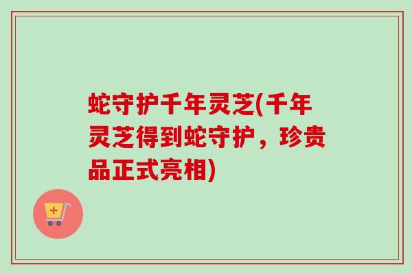 蛇守护千年灵芝(千年灵芝得到蛇守护,珍贵品正式亮相)-第1张图片-卓越灵芝孢子粉 蛇守护千年灵芝(千年灵芝得到蛇守护,珍贵品正式亮相)-第1张图片-卓越灵芝孢子粉