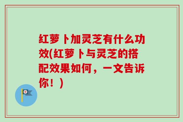 红萝卜加灵芝有什么功效(红萝卜与灵芝的搭配效果如何,一文告诉你!)-第1张图片-卓越灵芝孢子粉 红萝卜加灵芝有什么功效(红萝卜与灵芝的搭配效果如何,一文告诉你!)-第1张图片-卓越灵芝孢子粉