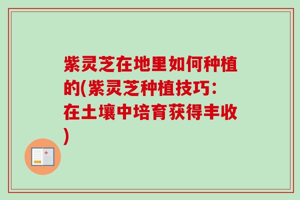 紫灵芝在地里如何种植的(紫灵芝种植技巧:在土壤中培育获得丰收)-第1张图片-卓越灵芝孢子粉 紫灵芝在地里如何种植的(紫灵芝种植技巧:在土壤中培育获得丰收)-第1张图片-卓越灵芝孢子粉