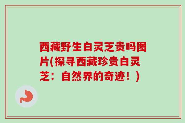 西藏野生白灵芝贵吗图片(探寻西藏珍贵白灵芝:自然界的奇迹!)-第1张图片-卓越灵芝孢子粉 西藏野生白灵芝贵吗图片(探寻西藏珍贵白灵芝:自然界的奇迹!)-第1张图片-卓越灵芝孢子粉
