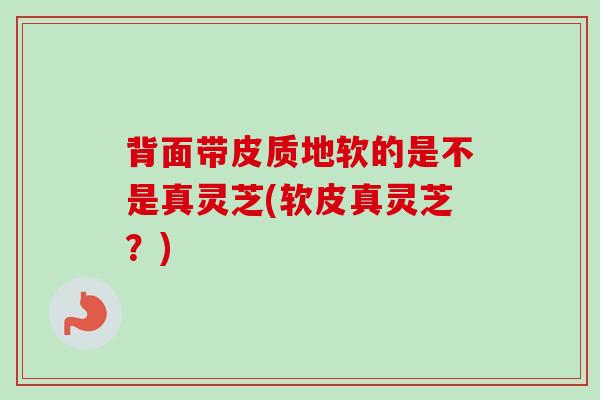 背面带皮质地软的是不是真灵芝(软皮真灵芝?)-第1张图片-卓越灵芝孢子粉 背面带皮质地软的是不是真灵芝(软皮真灵芝?)-第1张图片-卓越灵芝孢子粉