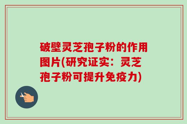 破壁灵芝孢子粉的作用图片(研究证实:灵芝孢子粉可提升免疫力)-第1张图片-卓越灵芝孢子粉 破壁灵芝孢子粉的作用图片(研究证实:灵芝孢子粉可提升免疫力)-第1张图片-卓越灵芝孢子粉