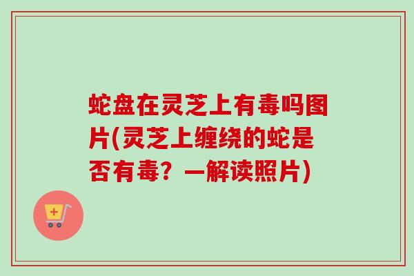 蛇盘在灵芝上有毒吗图片(灵芝上缠绕的蛇是否有毒？—解读照片)-第1张图片-卓越灵芝孢子粉