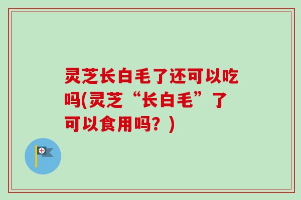 灵芝长白毛了还可以吃吗(灵芝“长白毛”了可以食用吗?)-第1张图片-卓越灵芝孢子粉 灵芝长白毛了还可以吃吗(灵芝“长白毛”了可以食用吗?)-第1张图片-卓越灵芝孢子粉