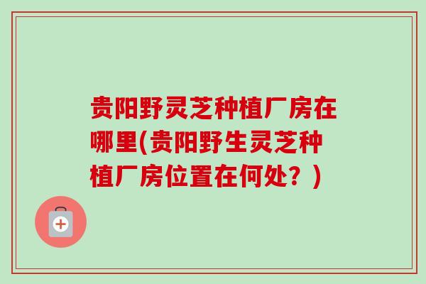 贵阳野灵芝种植厂房在哪里(贵阳野生灵芝种植厂房位置在何处?)-第1张图片-卓越灵芝孢子粉 贵阳野灵芝种植厂房在哪里(贵阳野生灵芝种植厂房位置在何处?)-第1张图片-卓越灵芝孢子粉