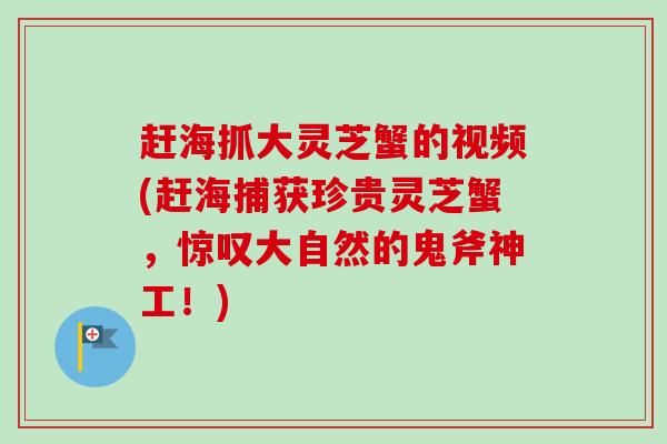 赶海抓大灵芝蟹的视频(赶海捕获珍贵灵芝蟹,惊叹大自然的鬼斧神工!)-第1张图片-卓越灵芝孢子粉 赶海抓大灵芝蟹的视频(赶海捕获珍贵灵芝蟹,惊叹大自然的鬼斧神工!)-第1张图片-卓越灵芝孢子粉