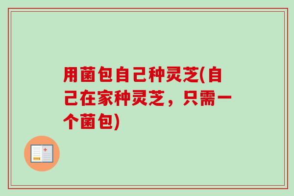 用菌包自己种灵芝(自己在家种灵芝，只需一个菌包)-第1张图片-卓越灵芝孢子粉
