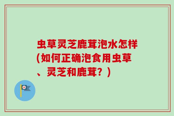 虫草灵芝鹿茸泡水怎样(如何正确泡食用虫草、灵芝和鹿茸?)-第1张图片-卓越灵芝孢子粉 虫草灵芝鹿茸泡水怎样(如何正确泡食用虫草、灵芝和鹿茸?)-第1张图片-卓越灵芝孢子粉