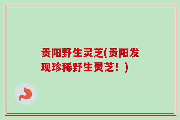 贵阳野生灵芝(贵阳发现珍稀野生灵芝！)-第1张图片-卓越灵芝孢子粉