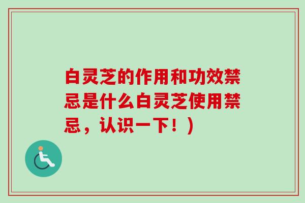 白灵芝的作用和功效禁忌是什么白灵芝使用禁忌，认识一下！)-第1张图片-卓越灵芝孢子粉