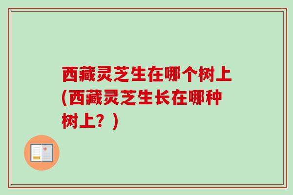 西藏灵芝生在哪个树上(西藏灵芝生长在哪种树上？)-第1张图片-卓越灵芝孢子粉
